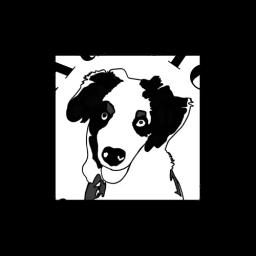 Family-owned landscaping company in Austin, TX, specializing in artificial turf, sod, and beautification services.