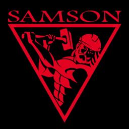 Samson Construction: Quality construction and remodeling services in Kathleen, GA with over 20 years of experience.