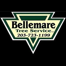 Family-owned tree service in Connecticut, specializing in tree removal and storm cleanup since 2008.