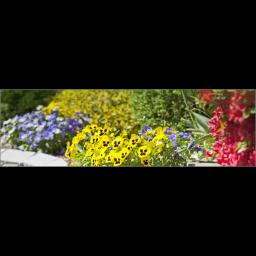 Ramirez Maintenance: Trusted landscaping and excavation services in Poulsbo, WA with over 12 years of experience.