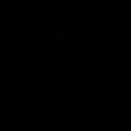 Leading provider of tree and land services in Central Alabama, specializing in emergency response and quality craftsmanship.