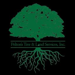 Expert tree care and landscaping services in Gautier, MS with over 22 years of experience.