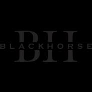 BlackHorse LLC: Veteran-owned construction firm specializing in innovative, high-quality renovation and contracting services.