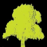 Patten Tree Service, LLC offers expert tree removal and trimming in Texas, ensuring customer satisfaction without upfront costs.