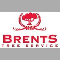 Brents Tree Service offers professional tree care, removal, and maintenance in Austin with over 28 years of experience.