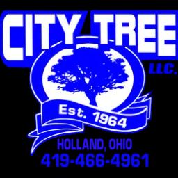 Family-owned since 1964, City Tree Service provides expert tree care and removal services in Holland, Ohio.