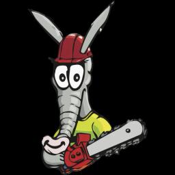 Aardvark Tree Services offers top-notch tree removal and care in Volusia and Flagler counties for over 20 years.