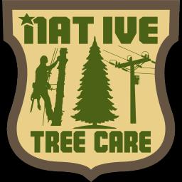 Professional tree care services in Cincinnati with 17+ years of experience, ensuring safety and satisfaction since 2019.