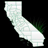 California Weed Control, Inc. offers expert weed management and asphalt maintenance services in Southern California since 1967.