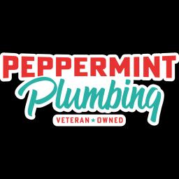 Veteran-owned plumbing service in Bulverde, TX, dedicated to integrity, quality, and customer satisfaction.