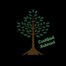 Russ's Tree Service offers expert tree removal, stump grinding, and 24-hour emergency services in Southeast Wisconsin.