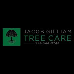 Expert tree care services in Sarasota, specializing in pruning, removal, and health assessments by certified arborists.