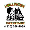 Affordable, certified tree care and landscaping services in Stark County, available 24/7 for emergencies.
