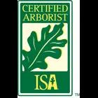 Gillaspie Tree Service offers professional tree care services in Eugene, Oregon, ensuring safety and aesthetics in tree management.