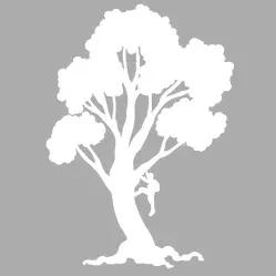 Local, veteran-operated tree service in Ocean Pines offering expert tree care and maintenance.