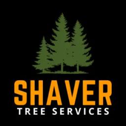 Expert tree removal and care in Birmingham, AL, ensuring safety and customer satisfaction with transparent pricing.