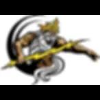 Olympus Electric & Solar LLC offers top-quality electrical and solar installation services across multiple states.