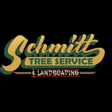 Professional tree removal and landscaping services in Newington, CT, focused on safety and customer satisfaction.