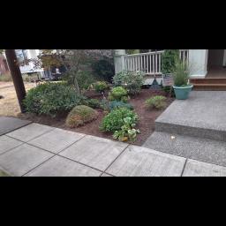 Dream Landscape LLC offers exceptional landscaping and hardscaping services tailored to homeowners and businesses in Oregon.