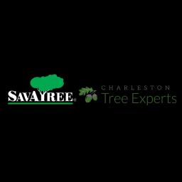 Charleston Tree Experts offers comprehensive tree care services, focusing on preservation and safety in Charleston, SC.