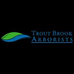 Trout Brook Landscaping LLC offers professional tree care services, including removal, pruning, and consultation in West Hartford, CT.