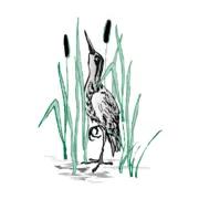 Expert aquatic management solutions in Florida since 2007, specializing in weed control, water testing, and ecosystem restoration.