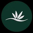 Leading South Florida landscaping company offering comprehensive lawn care, maintenance, and design since 2005.