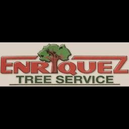 Enriquez Tree Service offers expert tree removal, trimming, and stump grinding in Central NJ since 2009.