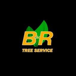 Expert tree removal and maintenance services in Massachusetts, committed to enhancing landscapes with skilled arborists.