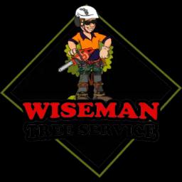 Wiseman Tree Service offers reliable tree care with 24/7 services in Marietta, GA, prioritizing quality and customer satisfaction.