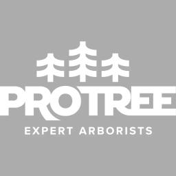 Family-owned tree care experts dedicated to customer satisfaction in the Twin Cities area.