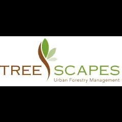 Expert tree care services enhancing health and beauty for over 20 years in California.