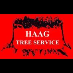 Haag Tree Service: Expert tree care and removal services in Windsor Heights, IA, with a focus on customer satisfaction.