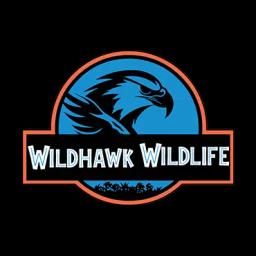 WildHawk Wildlife offers humane wildlife removal and prevention services in Memphis, TN, prioritizing safety and customer satisfaction.