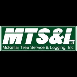 McKellar Tree Service specializes in expert tree removal, trimming, and fire prevention in California’s mountain regions.