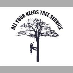 Professional tree services in Saint Albans, WV, offering tree removal, pruning, and care with a focus on customer satisfaction.