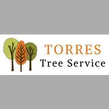 Family-owned tree service in Southern California, providing reliable and affordable tree care since 1981.