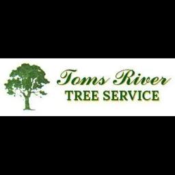 Toms River Tree Service offers expert tree care solutions in Ocean County, NJ since 1978, ensuring safety and efficiency.
