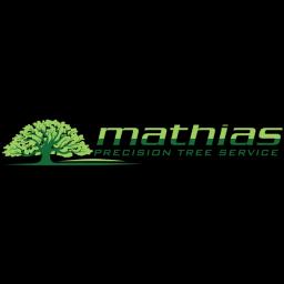 Expert tree care services in St. Louis, focusing on precision, integrity, and customer satisfaction.