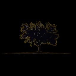 Family-owned Model Hardwood Floors offers eco-friendly hardwood installation and refinishing in Monterey and Santa Cruz counties.