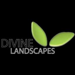 Divine Landscapes transforms outdoor spaces in Visalia, CA, offering design, installation, and maintenance services.
