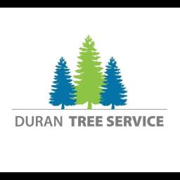 Expert tree care and removal services in Portland, focused on customer satisfaction and professional solutions.
