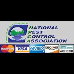 Queen 'B' Pest Services offers expert pest control solutions for homes and businesses in Baltimore, MD.