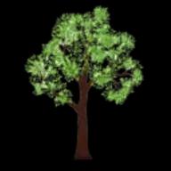 Expert tree care services in Connecticut with over 30 years of experience in tree removal, trimming, and emergency services.