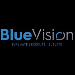 BlueVision Inc provides dynamic management and technology solutions for federal and commercial clients.