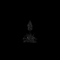 Transforming outdoor spaces with personalized landscaping solutions in Ventura, CA.