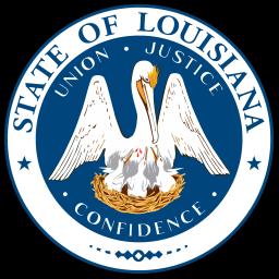 Lainez Professional Roofing LLC offers quality roofing and remodeling services in Louisiana and Colorado for over 15 years.