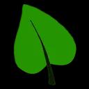 Expert tree care services in Plano, TX, led by certified arborists since 1994, focusing on health and beauty of your trees.