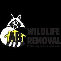 Expert wildlife removal service in Madison, AL, specializing in non-domestic animals, with guaranteed satisfaction.