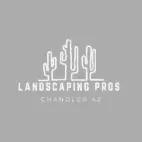 Professional landscaping services in Chandler, AZ, enhancing residential and commercial properties with expert design and installation.